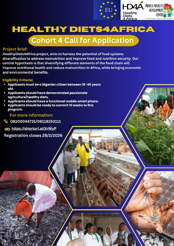 Call for Applications: HealthyDiets4Africa (HD4A) – Cohort 4